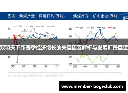 双羽天下新赛季经济增长的关键因素解析与发展前景展望