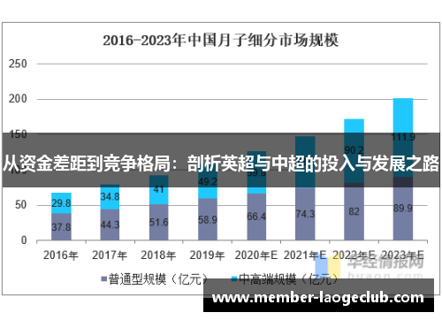从资金差距到竞争格局：剖析英超与中超的投入与发展之路
