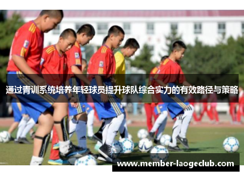 通过青训系统培养年轻球员提升球队综合实力的有效路径与策略 通过青训系统培养年轻球员提升球队综合实力的有效路径与策略
