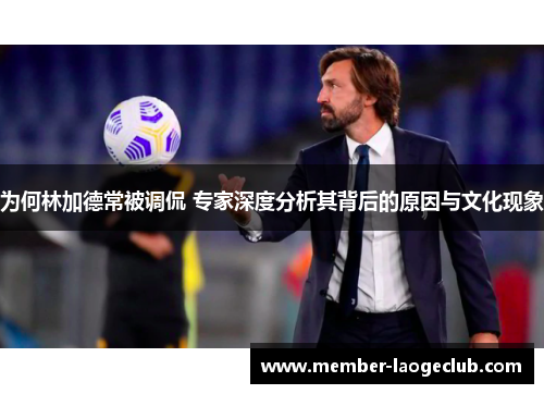为何林加德常被调侃 专家深度分析其背后的原因与文化现象 为何林加德常被调侃 专家深度分析其背后的原因与文化现象