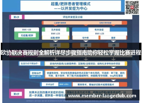 欧协联决赛规则全解析详尽步骤指南助你轻松掌握比赛进程 欧协联决赛规则全解析详尽步骤指南助你轻松掌握比赛进程