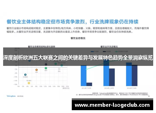 深度剖析欧洲五大联赛之间的关键差异与发展特色趋势全景洞察纵览
