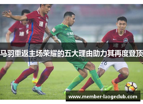 马羽重返主场荣耀的五大理由助力其再度登顶
