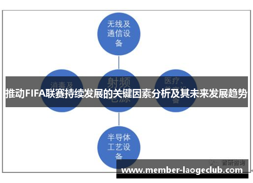 推动FIFA联赛持续发展的关键因素分析及其未来发展趋势