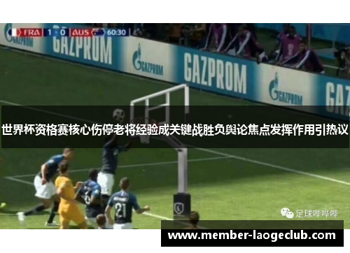 世界杯资格赛核心伤停老将经验成关键战胜负舆论焦点发挥作用引热议