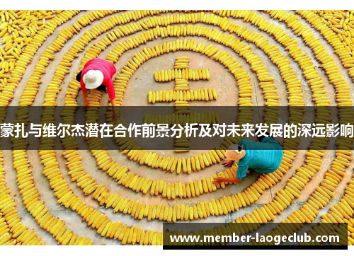 蒙扎与维尔杰潜在合作前景分析及对未来发展的深远影响