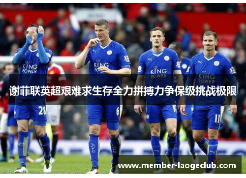 谢菲联英超艰难求生存全力拼搏力争保级挑战极限