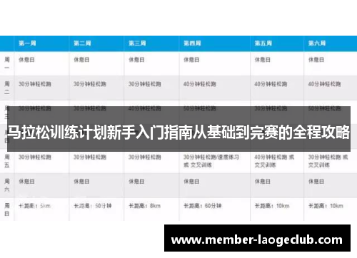 马拉松训练计划新手入门指南从基础到完赛的全程攻略