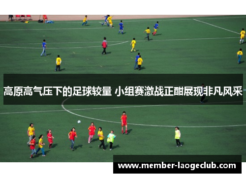 高原高气压下的足球较量 小组赛激战正酣展现非凡风采