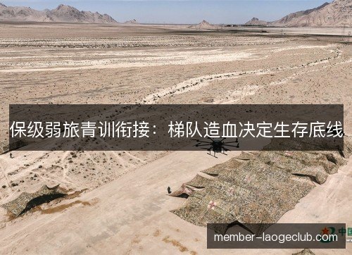 保级弱旅青训衔接：梯队造血决定生存底线